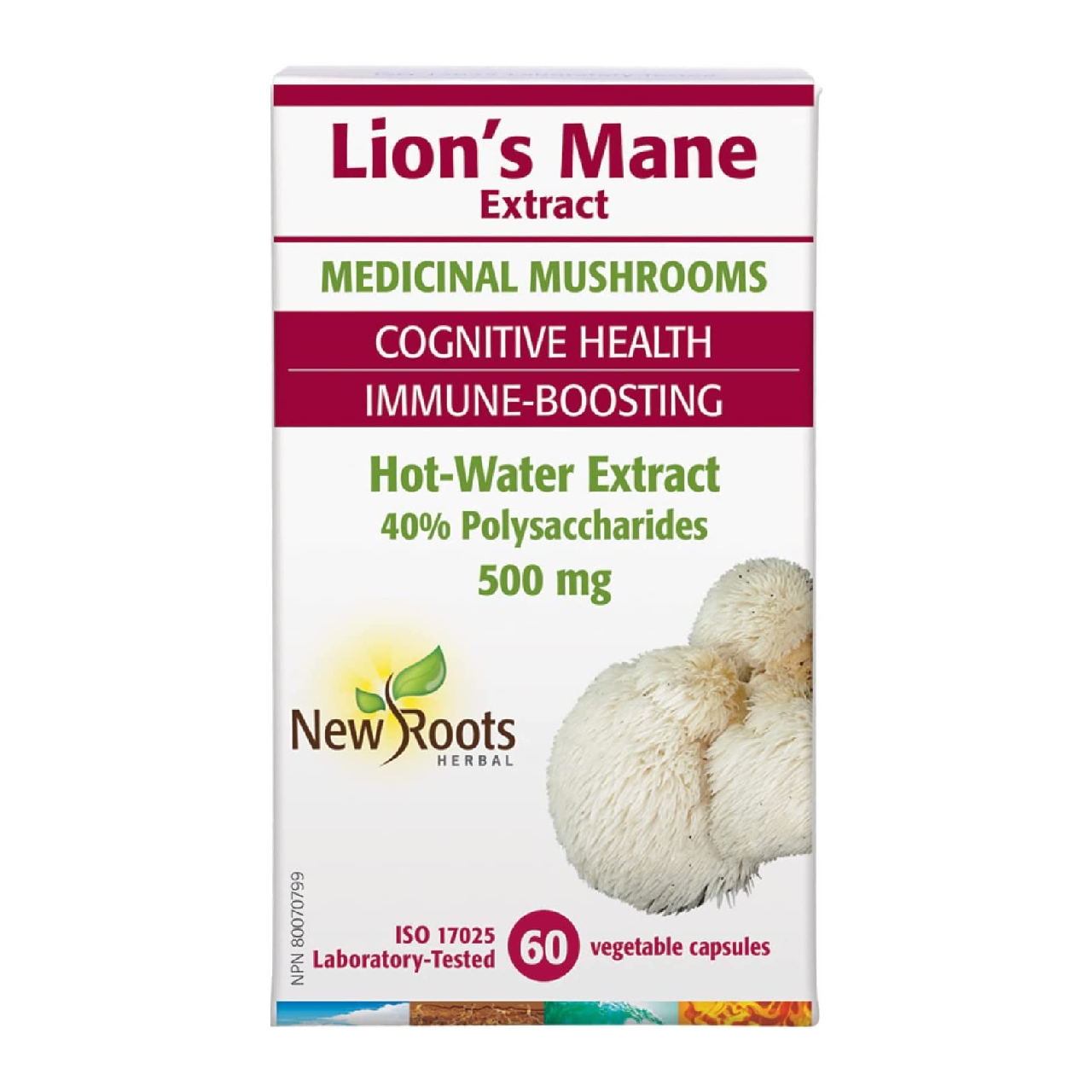 New Roots - Lion's Mane Extract Medicinal Mushrooms - Cognitive Health Immune-Boosting | 60 Vegetable Capsules*