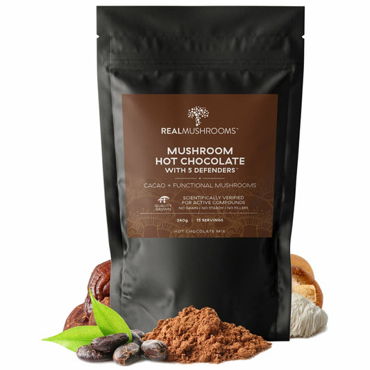 Real Mushrooms Organic Hot Chocolate Mix Heirloom Cacao Pure Vegan 240g NEW