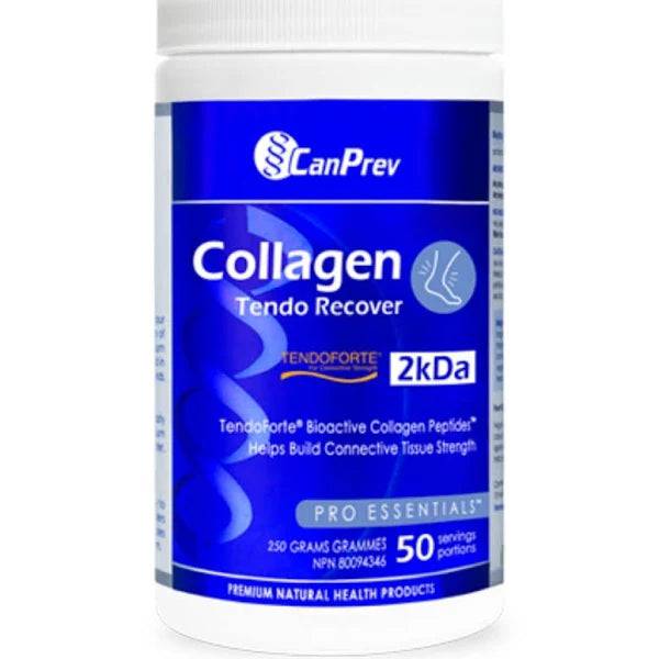 CanPrev Collagen Tendo Recover 250g Powder