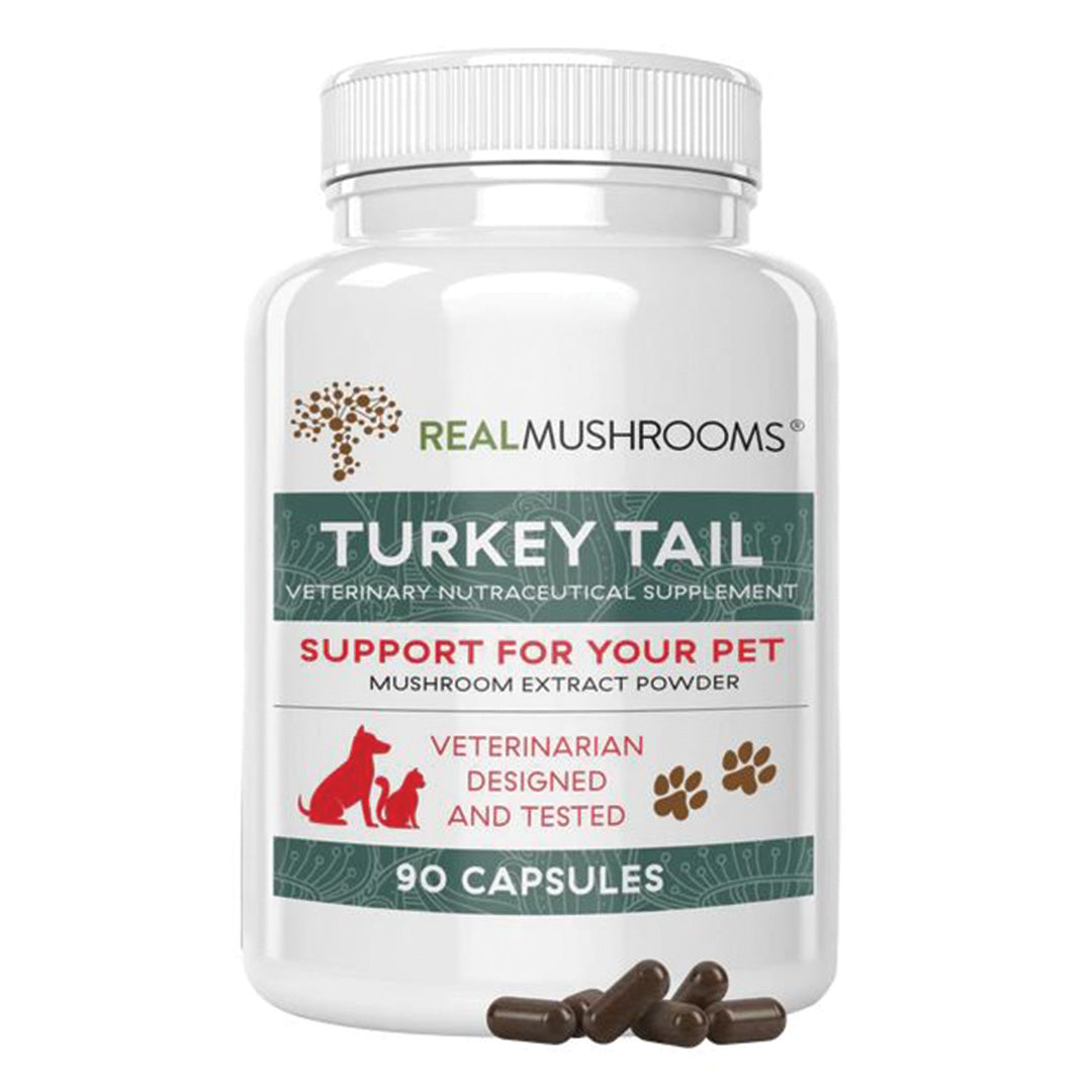 Real Mushrooms Organic Turkey Tail Capsules | 90 Count